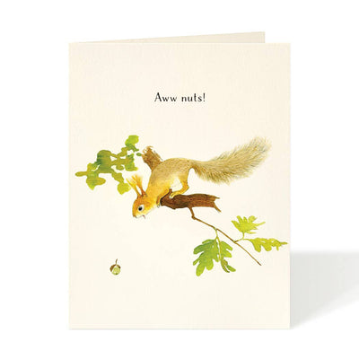 Aww Nuts - Everyday Solidarity Greeting Cards  Felix Doolittle  Paper Skyscraper Gift Shop Charlotte