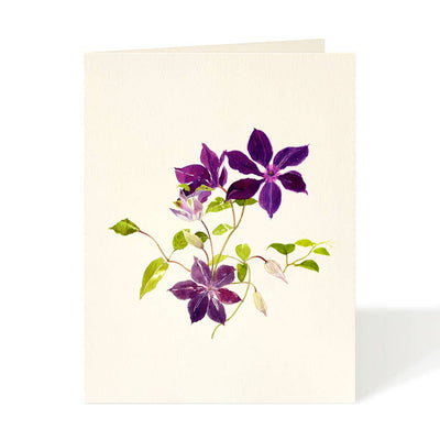 Clematis Vine - Flower Garden Greeting Cards: Occasion Card  Felix Doolittle  Paper Skyscraper Gift Shop Charlotte