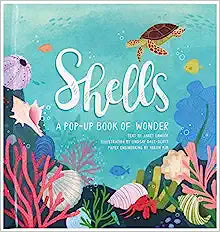 Shells: A Summer Pop Up Book BOOK Up With Paper  Paper Skyscraper Gift Shop Charlotte
