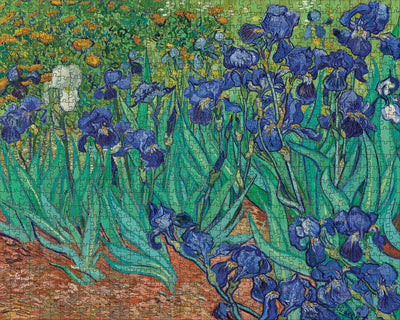 1000 Piece Jigsaw Puzzle | Van Gogh: Irises Jigsaw Puzzles Pomegranate  Paper Skyscraper Gift Shop Charlotte