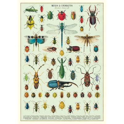 Cavallini |  Bugs & Insects Poster Kit  Cavallini Papers & Co., Inc.  Paper Skyscraper Gift Shop Charlotte