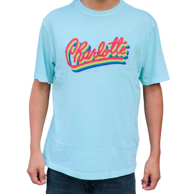 Charlotte Rainbow T-Shirt | Chalky Mint Apparel Reworn  Paper Skyscraper Gift Shop Charlotte