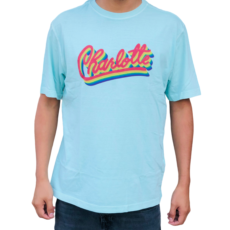 Charlotte Rainbow T-Shirt | Chalky Mint Apparel Reworn  Paper Skyscraper Gift Shop Charlotte
