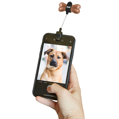 Dog Treat Selfie Clip Pets Kikkerland  Paper Skyscraper Gift Shop Charlotte