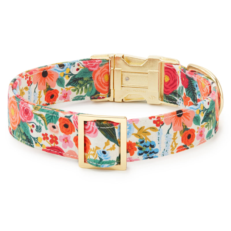 Garden Party Spring Dog Collar: L/ Gold  The Foggy Dog  Paper Skyscraper Gift Shop Charlotte