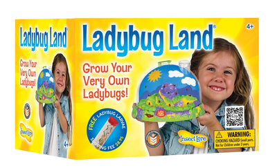 Ladybug Land Kids Toys Insect Lore  Paper Skyscraper Gift Shop Charlotte