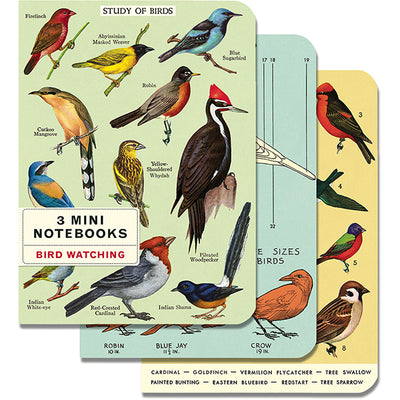Bird Watching Mini Notebooks Notebooks Cavallini Papers & Co., Inc.  Paper Skyscraper Gift Shop Charlotte