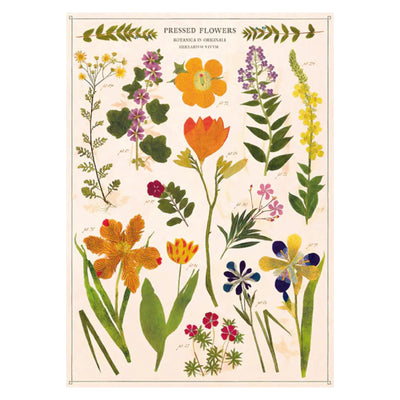 Cavallini | Pressed Flowers Poster Kit  Cavallini Papers & Co., Inc.  Paper Skyscraper Gift Shop Charlotte