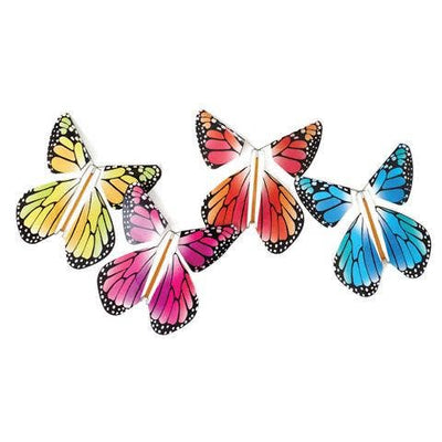Magic Flying Butterfly Rainbow Partyware TOPS Malibu  Paper Skyscraper Gift Shop Charlotte
