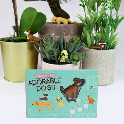 Adorable Dogs - Plant Markers  Gift Republic  Paper Skyscraper Gift Shop Charlotte