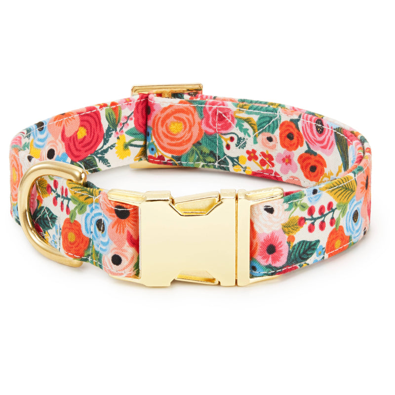 Garden Party Spring Dog Collar: L/ Gold  The Foggy Dog  Paper Skyscraper Gift Shop Charlotte