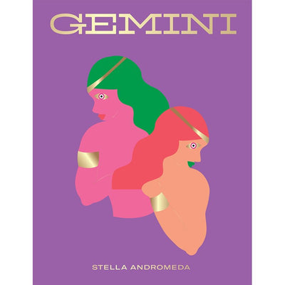 Seeing Stars: Gemini Books Chronicle  Paper Skyscraper Gift Shop Charlotte