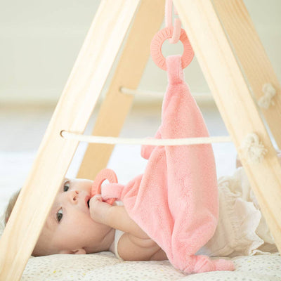 Teether Buddy Penny the Pig Baby Toys Bella Tunno Paper Skyscraper Gift Shop Charlotte