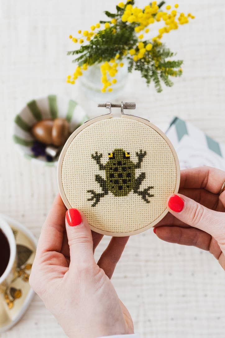 Frog Cross Stitch Kit