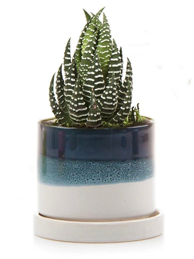 Green Blue Minute Pot + Saucer | Chive Vases & Planters CHIVE  Paper Skyscraper Gift Shop Charlotte