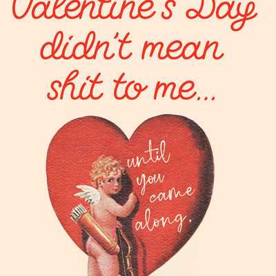 VALENTINE don't mean SH@#! valentine card