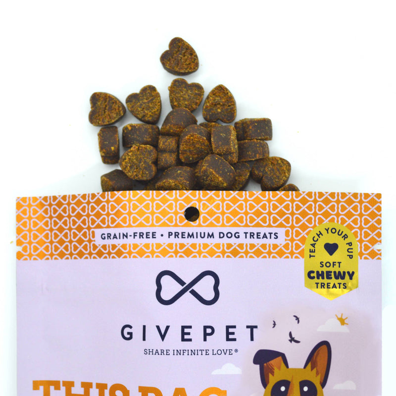 GivePet Off-Leash Leisure Dog Treats Pets GivePet  Paper Skyscraper Gift Shop Charlotte