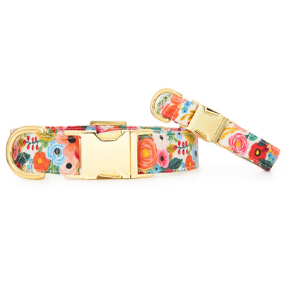 Garden Party Spring Dog Collar: M/ Gold  The Foggy Dog  Paper Skyscraper Gift Shop Charlotte