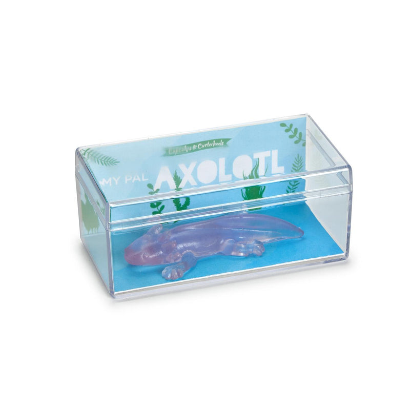 Awesome Axolotl | Assorted Kid Toys Two&