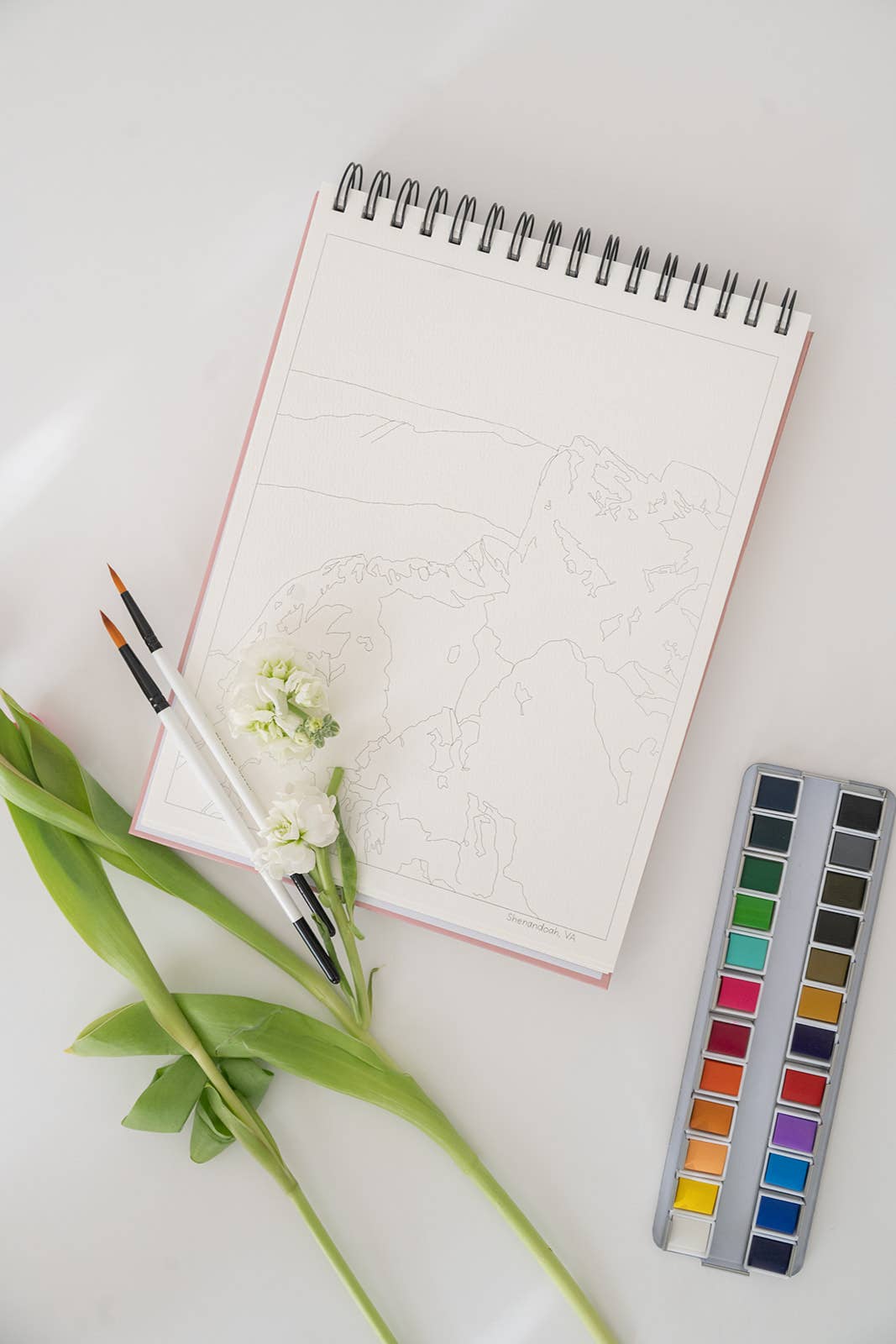 National Parks Watercoloring Book-Outlines w/Video Tutorials