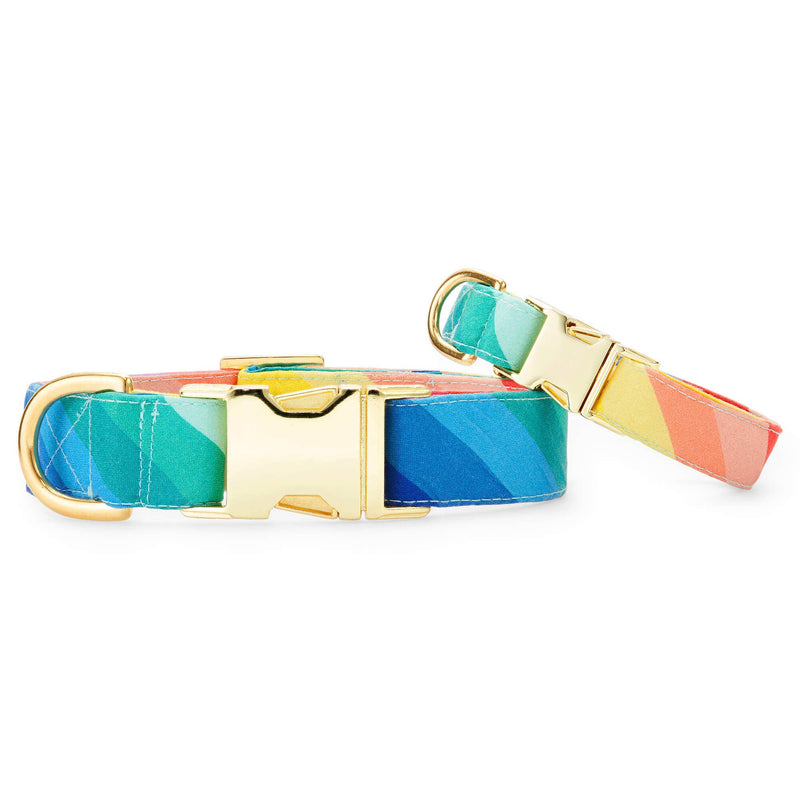 Over the Rainbow Dog Collar: XS  The Foggy Dog  Paper Skyscraper Gift Shop Charlotte