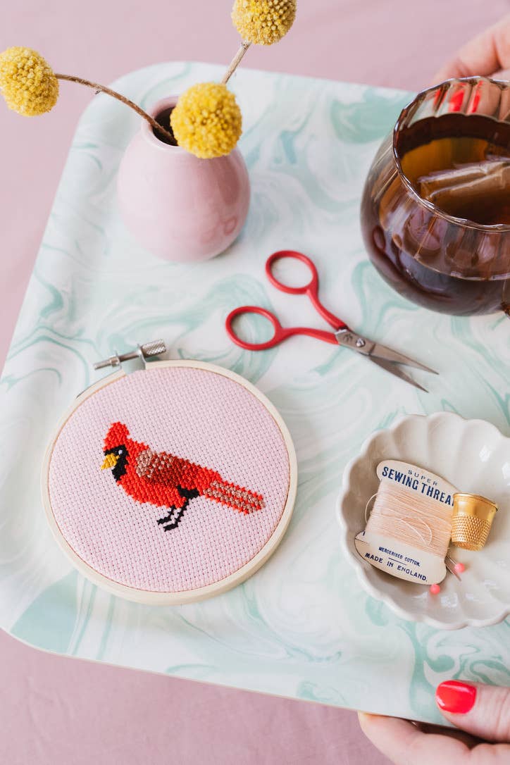 Cardinal Cross Stitch Kit for Beginners