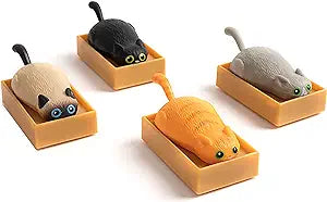 Racing Cats in Boxes | Assorted - 1 pc Jokes & Novelty Accoutrements  Paper Skyscraper Gift Shop Charlotte