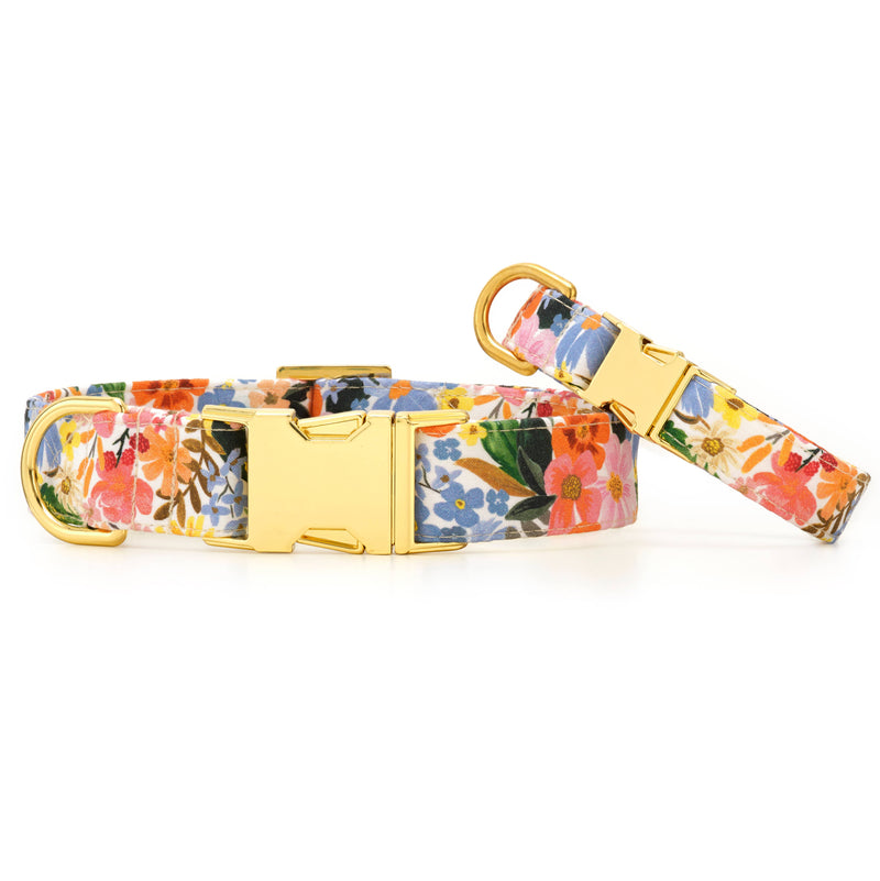 Marguerite Spring Dog Collar: XS/ Gold  The Foggy Dog  Paper Skyscraper Gift Shop Charlotte