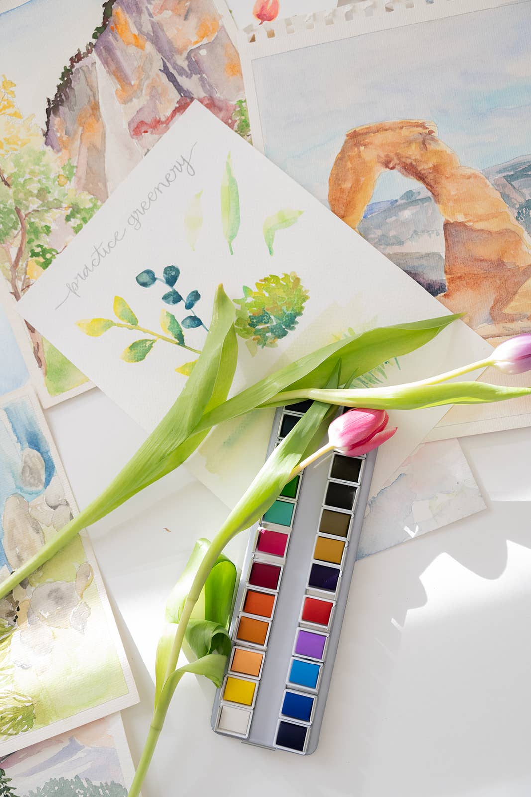 National Parks Watercoloring Book-Outlines w/Video Tutorials