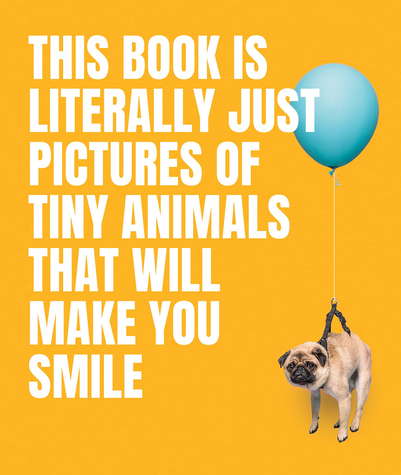 This Book Is Literally Just Pictures of Tiny Animals That Will Make You Smile by Smith Street Books | Hardcover BOOK Penguin Random House  Paper Skyscraper Gift Shop Charlotte