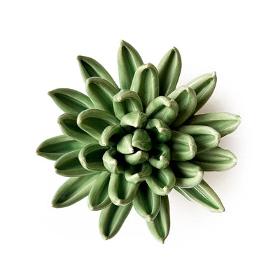 Large Green Ceramic Succulent Flower with Keyhole | Chive Home Decor CHIVE  Paper Skyscraper Gift Shop Charlotte