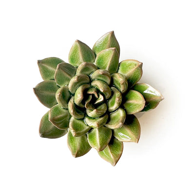 Small Green Ceramic Succulent with Keyhole | Chive Home Decor CHIVE  Paper Skyscraper Gift Shop Charlotte