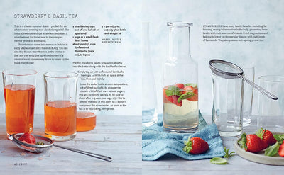 Kombucha: Recipes for Naturally Fermented Tea Drinks to Make at Home BOOK Simon & Schuster  Paper Skyscraper Gift Shop Charlotte