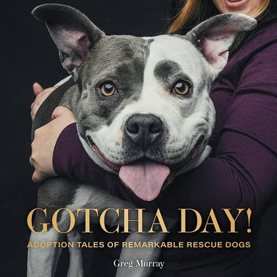 Gotcha Day!: Adoption Tales of Remarkable Rescue Dogs by Greg Murray | Hardcover BOOK Gibbs Smith  Paper Skyscraper Gift Shop Charlotte