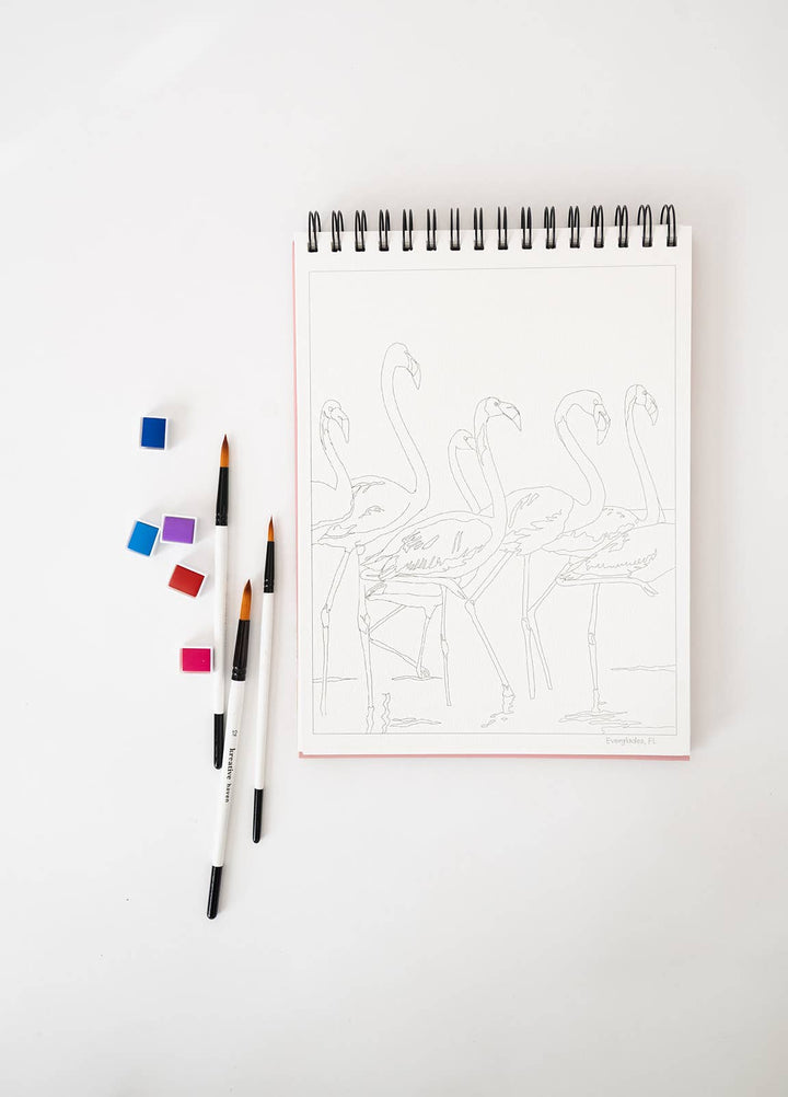 National Parks Watercoloring Book-Outlines w/Video Tutorials