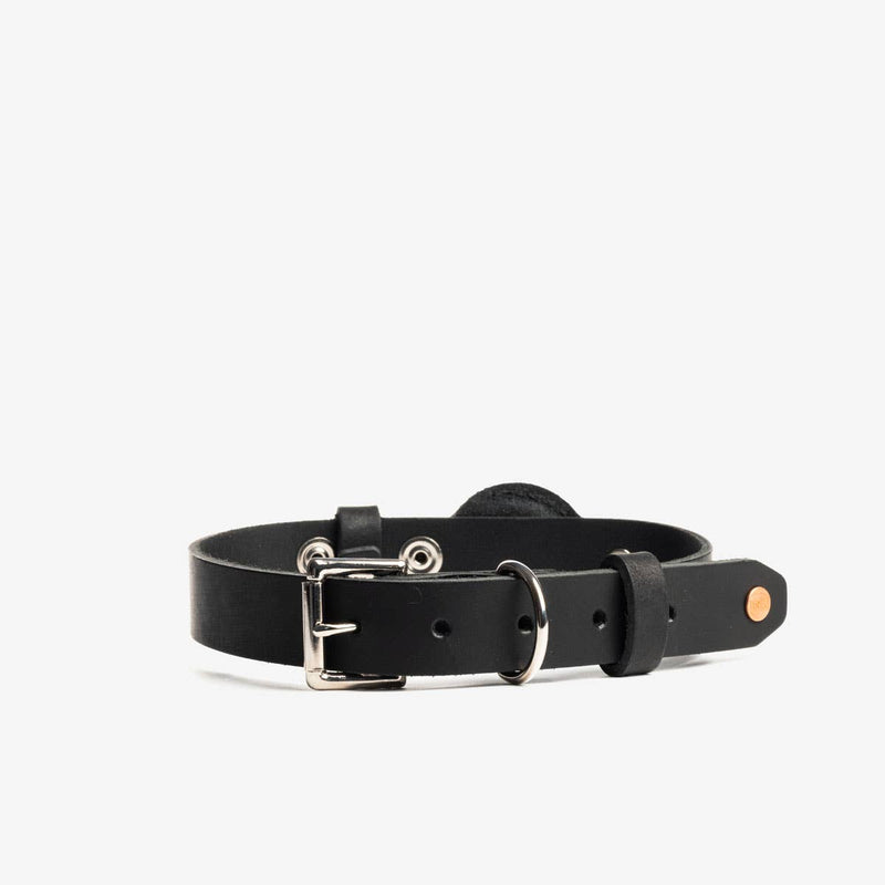 Leather AirTag Dog Collar: Medium (for 12.75"-17"neck) / Cinnamon Pets Rustico  Paper Skyscraper Gift Shop Charlotte