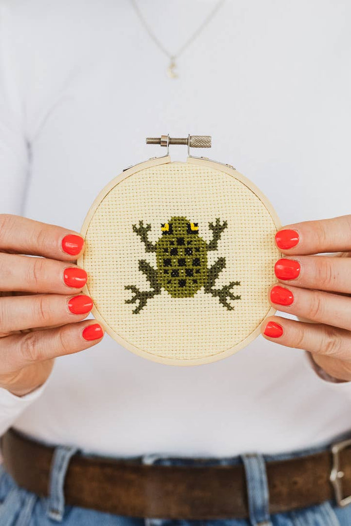 Frog Cross Stitch Kit