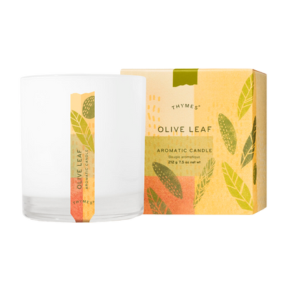 Aromatic Candle | Olive Leaf Candles Thymes  Paper Skyscraper Gift Shop Charlotte