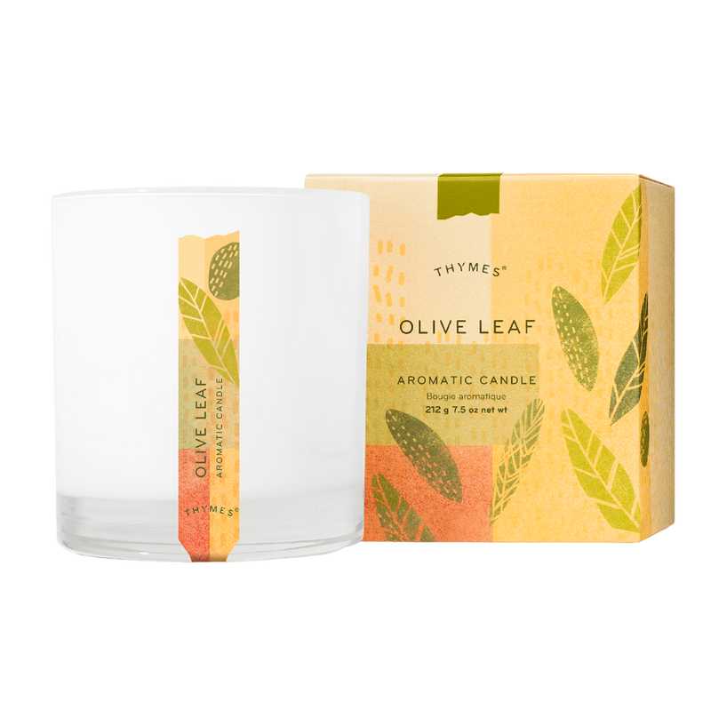 Aromatic Candle | Olive Leaf Candles Thymes  Paper Skyscraper Gift Shop Charlotte