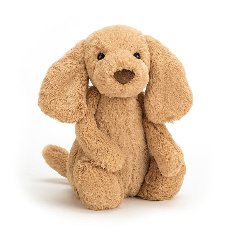 Bashful Toffee Puppy | Small - Medium Stuffed Animals Jellycat  Paper Skyscraper Gift Shop Charlotte