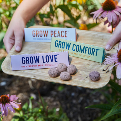 Bright Side Seed Balls | Grow Love Garden Modern Sprout  Paper Skyscraper Gift Shop Charlotte