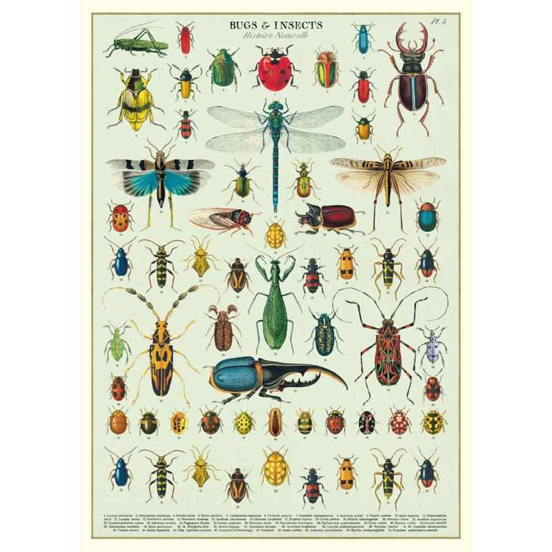 Bugs & Insects Wrap Sheet