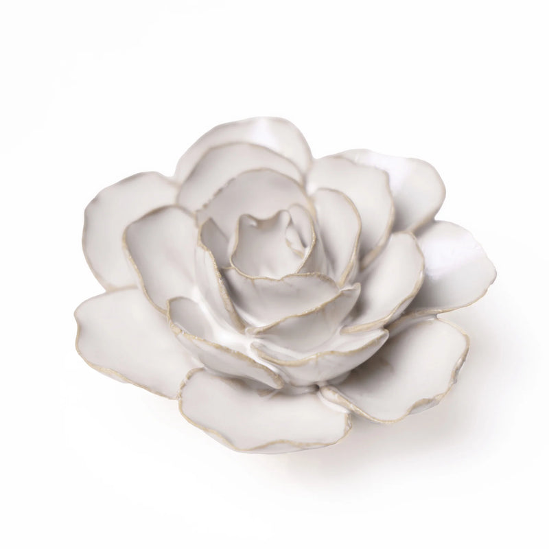 Ranunculus Ivory Ceramic Flower Home Decor CHIVE  Paper Skyscraper Gift Shop Charlotte