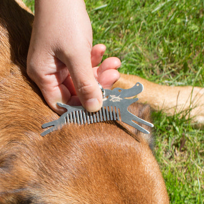Tick Remover Dog Tool