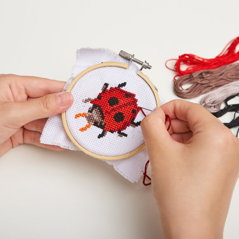 Ladybug Mini Cross Stitch Embroidery Kit  Kikkerland  Paper Skyscraper Gift Shop Charlotte