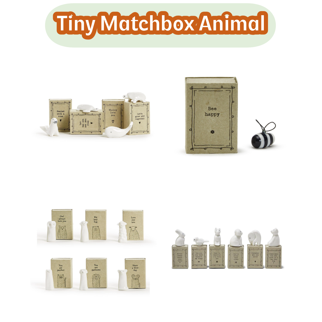 Just Because Bundle Paper Skyscraper Paper Skyscraper Gift Shop Charlotte