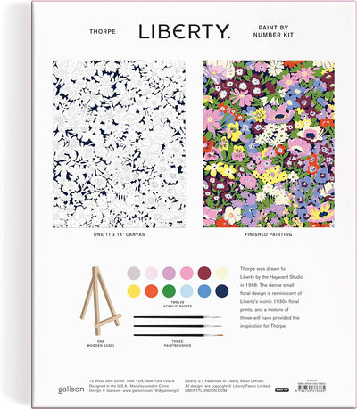 Liberty Thorpeness Paint by Number Kit BOOK Chronicle  Paper Skyscraper Gift Shop Charlotte
