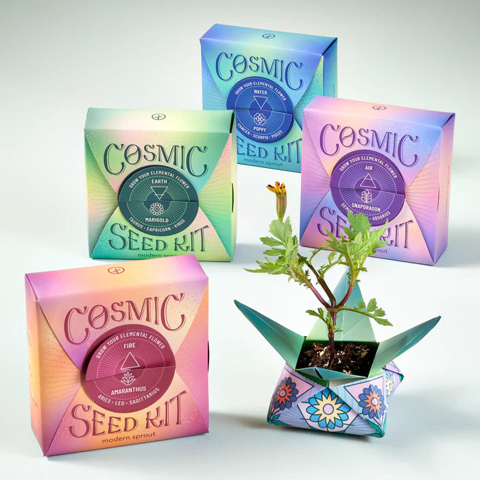 Fire Cosmic Seed Pack Garden Modern Sprout  Paper Skyscraper Gift Shop Charlotte