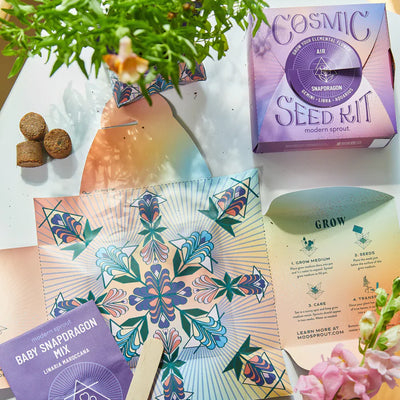 Earth Cosmic Seed Pack Garden Modern Sprout  Paper Skyscraper Gift Shop Charlotte