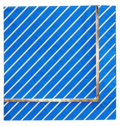 COCKTAIL NAPKIN EVERYDAY BLUE/20CT Holiday Sophistiplate  Paper Skyscraper Gift Shop Charlotte
